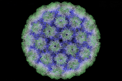 hpv
